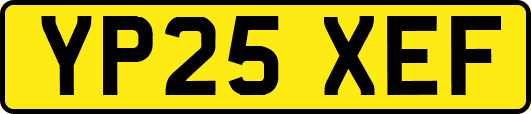 YP25XEF