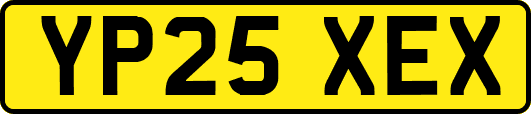 YP25XEX