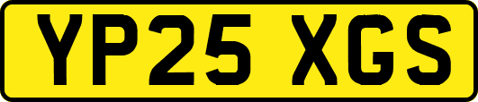 YP25XGS