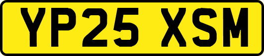YP25XSM