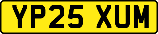 YP25XUM