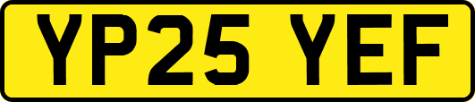YP25YEF