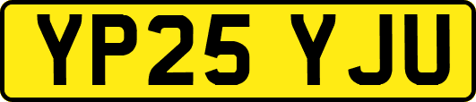 YP25YJU