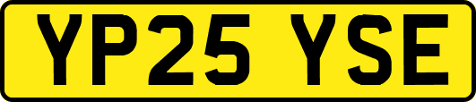 YP25YSE