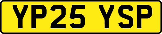 YP25YSP