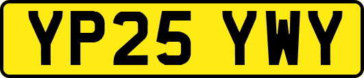 YP25YWY