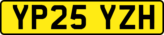 YP25YZH