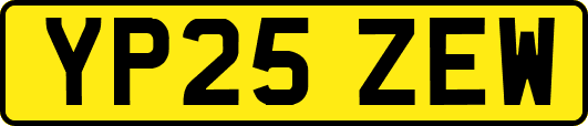 YP25ZEW