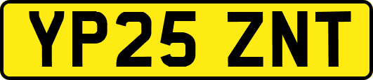 YP25ZNT