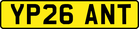 YP26ANT
