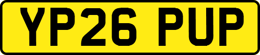 YP26PUP