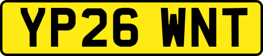 YP26WNT