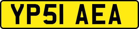 YP51AEA