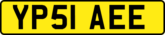 YP51AEE