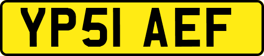 YP51AEF