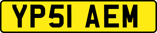 YP51AEM