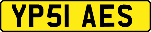 YP51AES