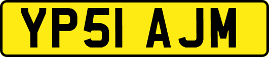 YP51AJM