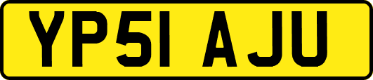 YP51AJU