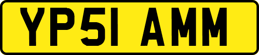 YP51AMM