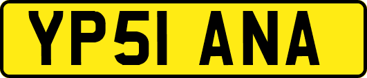 YP51ANA