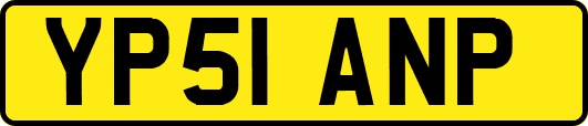 YP51ANP