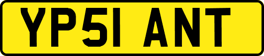 YP51ANT