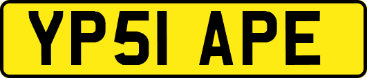 YP51APE