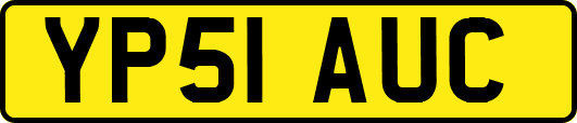 YP51AUC