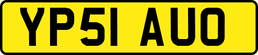 YP51AUO