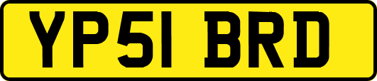 YP51BRD