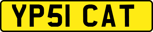 YP51CAT