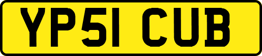 YP51CUB