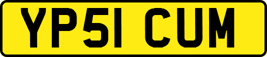 YP51CUM