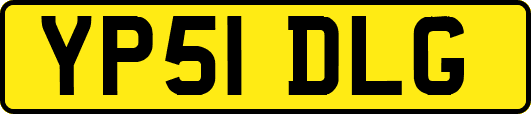 YP51DLG