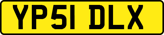 YP51DLX
