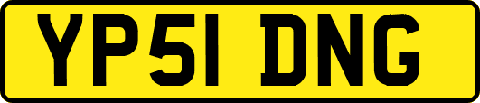YP51DNG