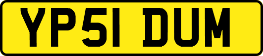 YP51DUM