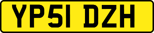 YP51DZH