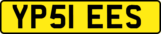 YP51EES