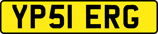 YP51ERG
