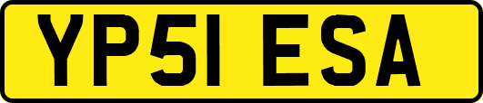 YP51ESA