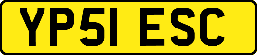 YP51ESC