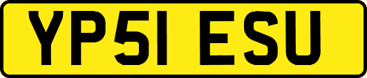 YP51ESU