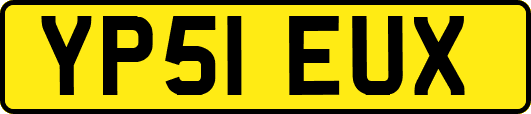 YP51EUX