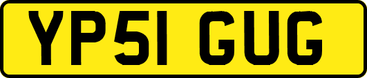 YP51GUG