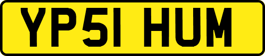 YP51HUM