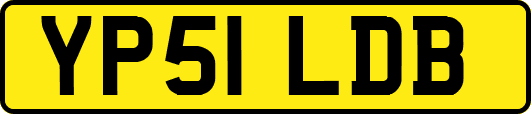YP51LDB
