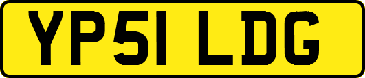 YP51LDG