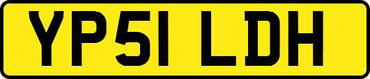 YP51LDH